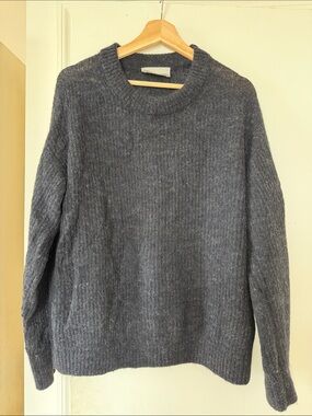Everlane Cocoon Crew in Alpaca